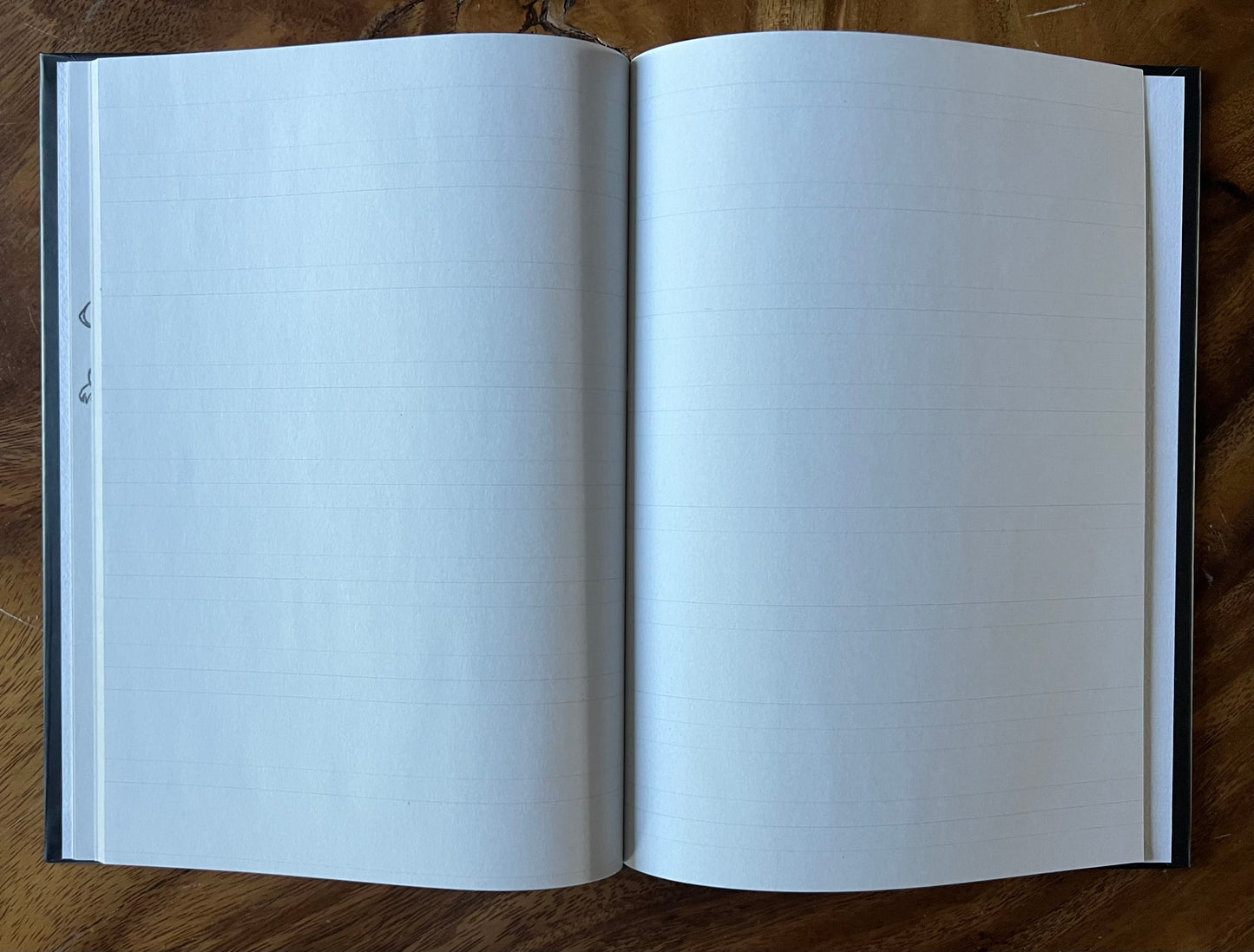 TLOU Journal Book Replica Hardcover — 48 Page Hardcover Collectible