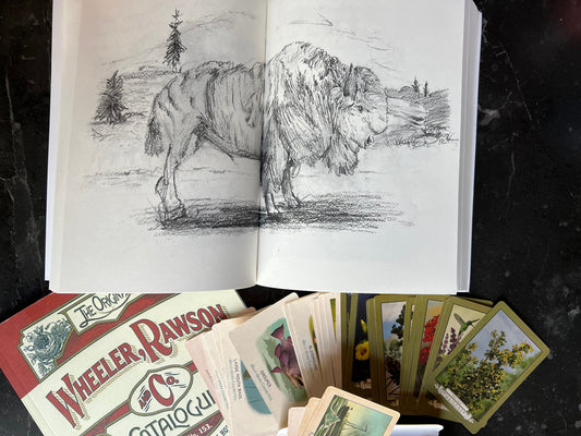 RDR2 Collector Bundle — Catalog, Journal & Full Card Set