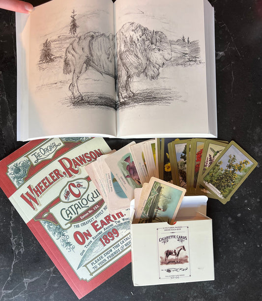 RDR2 Collector Bundle — Catalog, Journal & Full Card Set