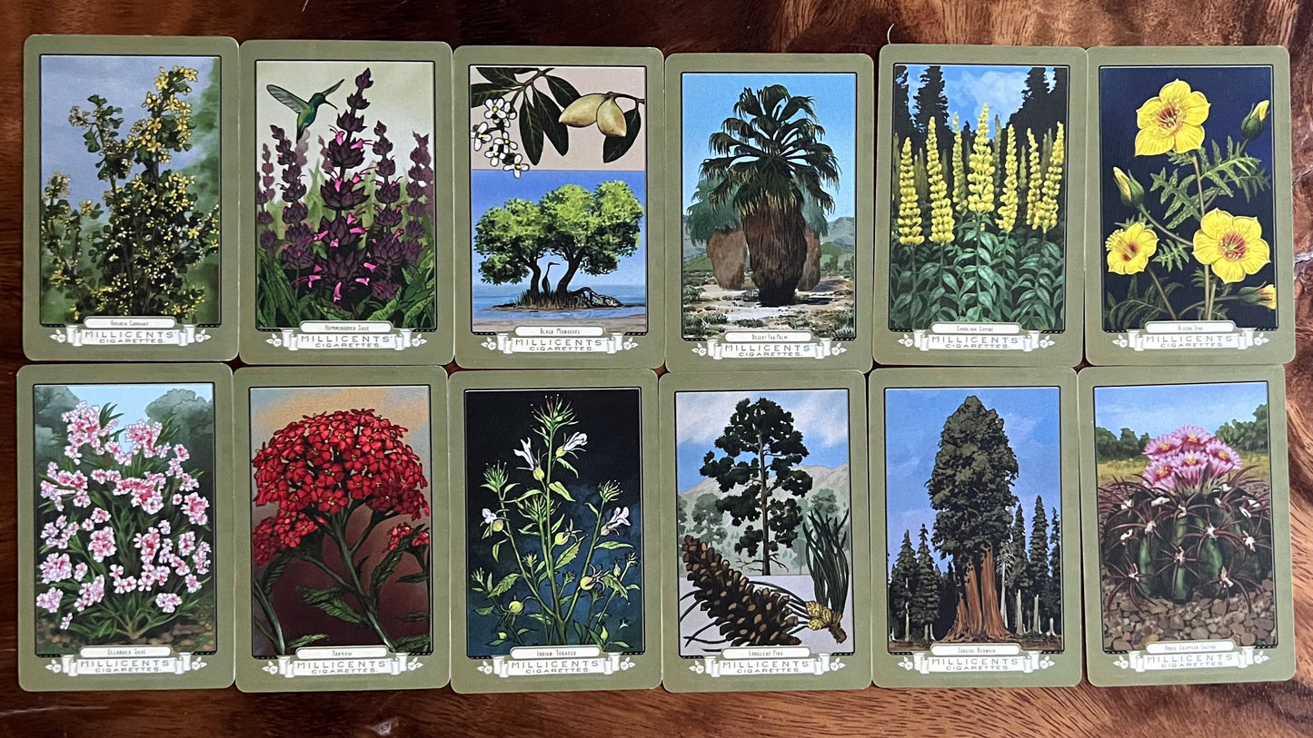 RDR2 Collectible Cigarette Card Set Replica— Complete 144 Card Series