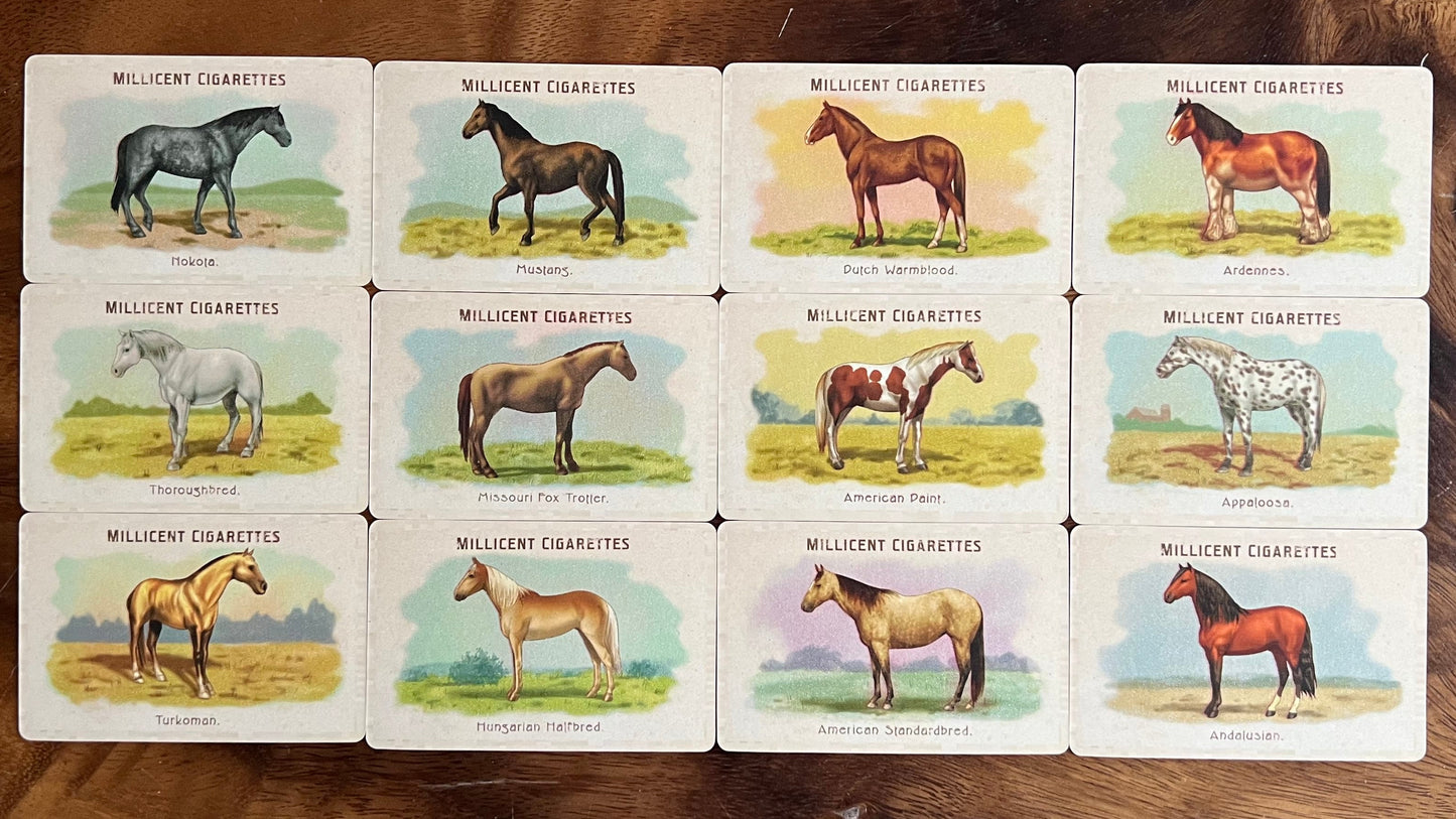 RDR2 Collectible Cigarette Card Set Replica— Complete 144 Card Series